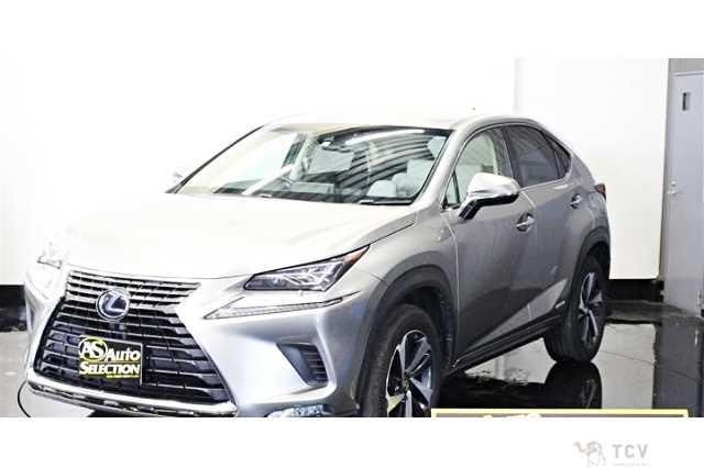 2018 Lexus NX