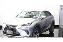 2018 Lexus NX