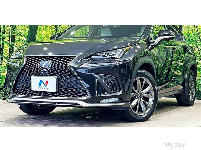 2018 Lexus NX