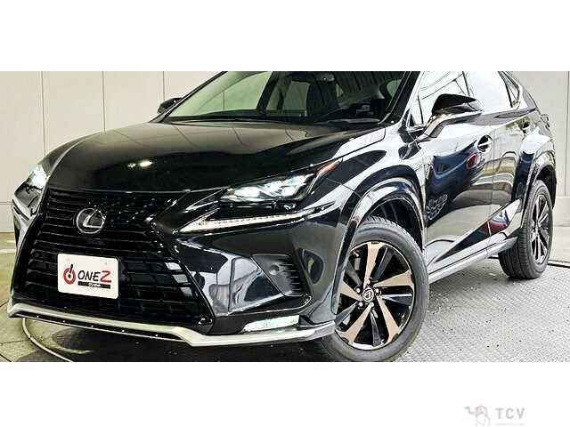 2018 Lexus NX