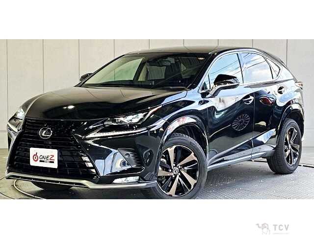 2018 Lexus NX