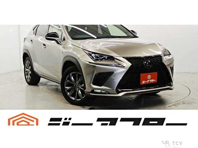 2018 Lexus NX