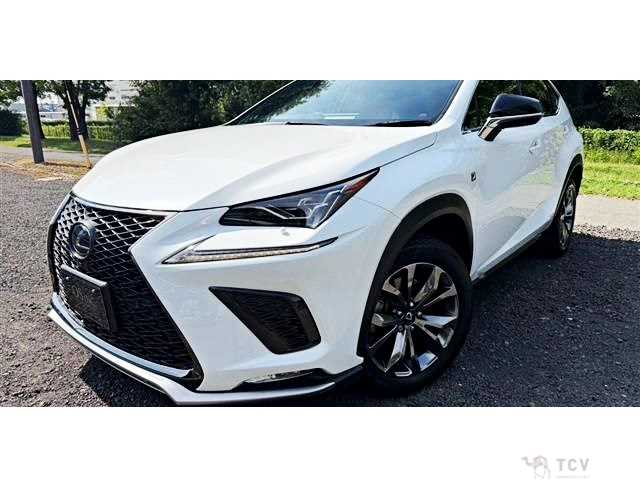 2018 Lexus NX