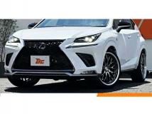 2018 Lexus NX