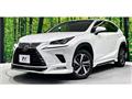 2018 Lexus NX