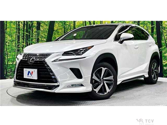 2018 Lexus NX