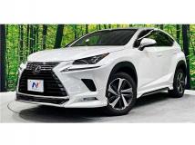 2018 Lexus NX