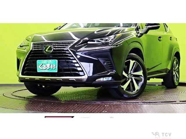 2018 Lexus NX