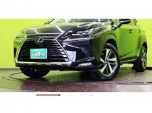 2018 Lexus NX