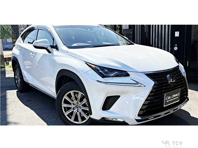2018 Lexus NX