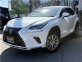 2018 Lexus NX