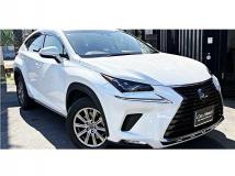 2018 Lexus NX