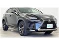 2018 Lexus NX