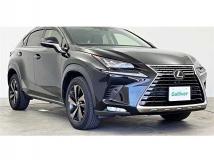 2018 Lexus NX
