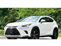 2018 Lexus NX