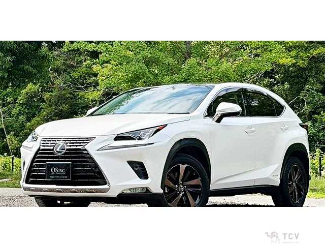 2018 Lexus NX