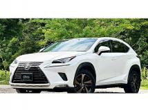 2018 Lexus NX