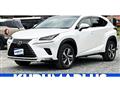 2018 Lexus NX