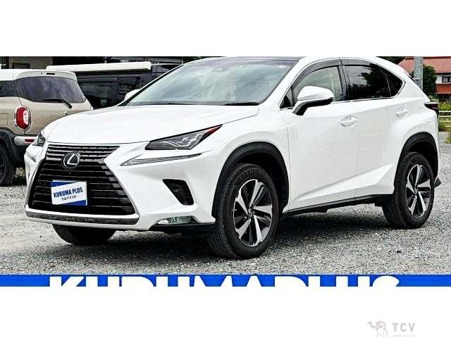 2018 Lexus NX