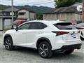 2018 Lexus NX