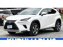 2018 Lexus NX