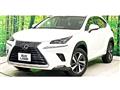 2018 Lexus NX