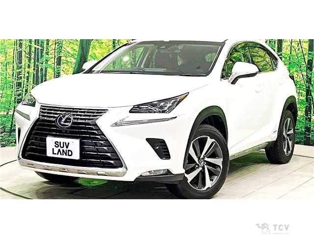 2018 Lexus NX
