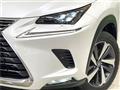 2018 Lexus NX