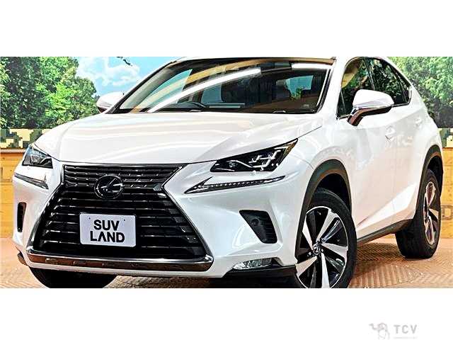 2018 Lexus NX