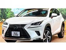 2018 Lexus NX