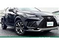 2018 Lexus NX