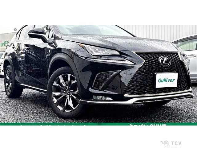 2018 Lexus NX