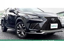 2018 Lexus NX