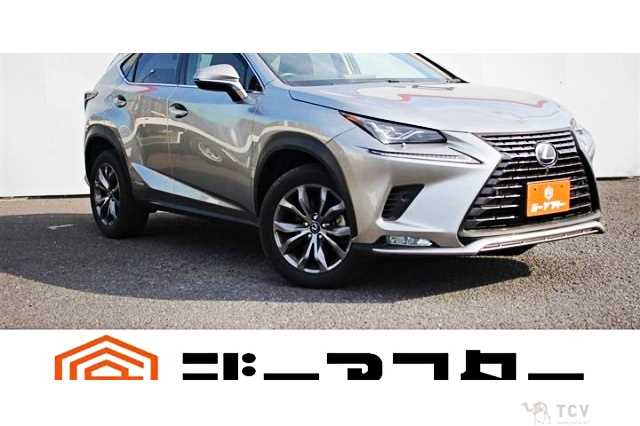 2018 Lexus NX