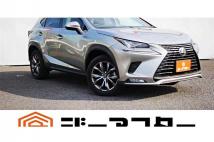 2018 Lexus NX