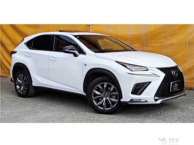2018 Lexus NX