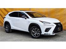 2018 Lexus NX