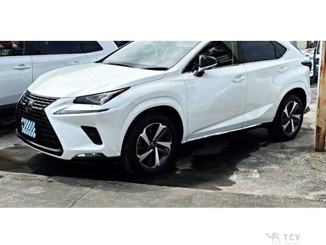 2018 Lexus NX