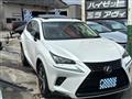 2018 Lexus NX