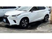 2018 Lexus NX