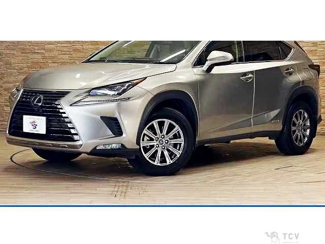 2018 Lexus NX