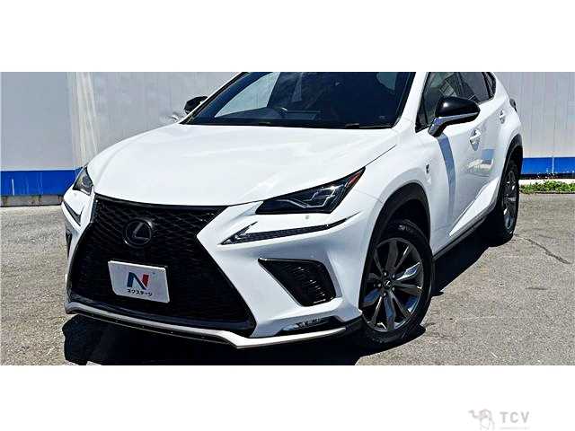2018 Lexus NX