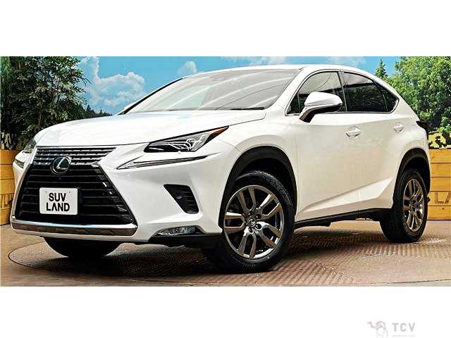 2018 Lexus NX