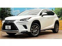 2018 Lexus NX