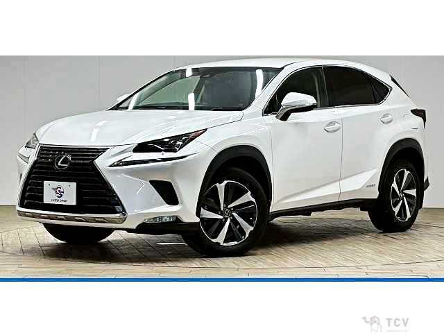 2018 Lexus NX