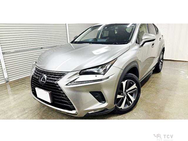 2018 Lexus NX