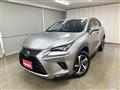 2018 Lexus NX