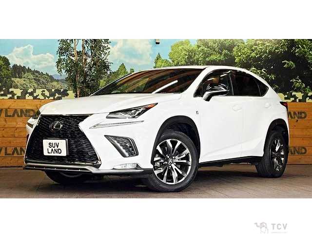 2018 Lexus NX