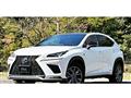 2018 Lexus NX