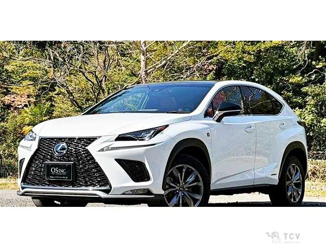 2018 Lexus NX
